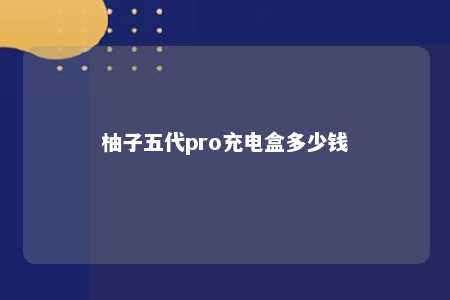 柚子五代pro充电盒多少钱