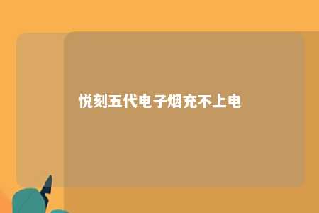 悦刻五代电子烟充不上电