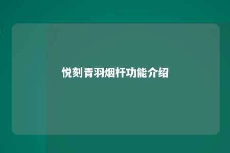 悦刻青羽烟杆功能介绍