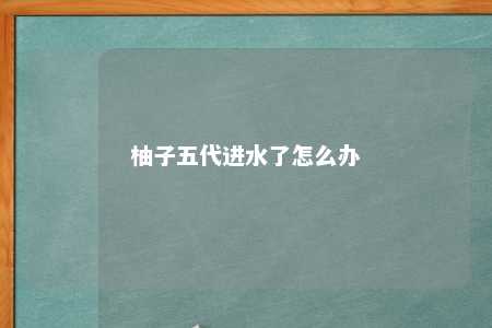 柚子五代进水了怎么办